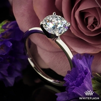 Promettre Solitaire Engagement Ring