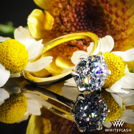 Whiteflash has so many great diamonds to choose from.