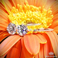 Inspiration-Al Diamond Earring Settings