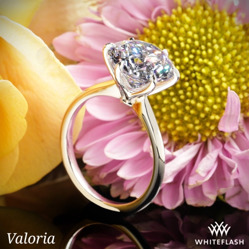 Six prong deals solitaire ring