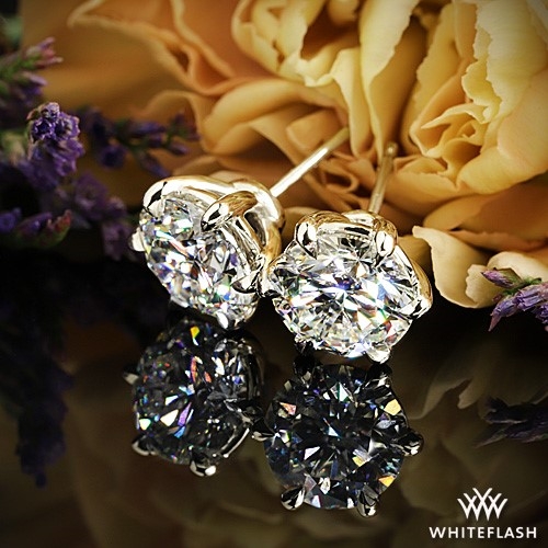 14k White Gold 6 Prong Martini Diamond Earrings