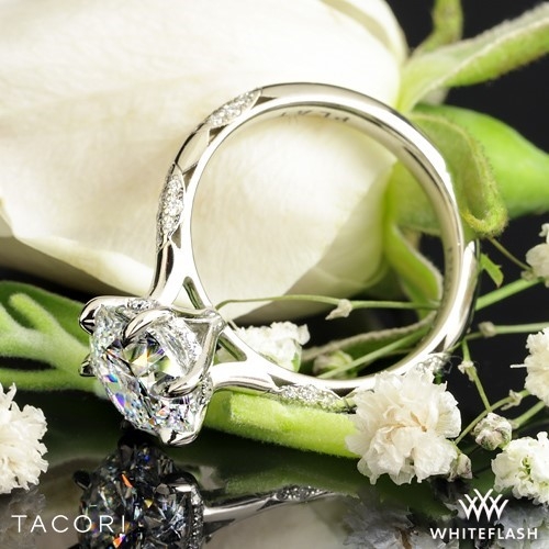 Platinum 6 Prong Cathedral with Hidden Halo and Spaced Diamond Cluster Accents