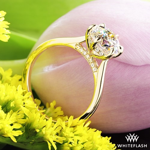 Custom 6 Prong Hidden Halo Engagement Ring