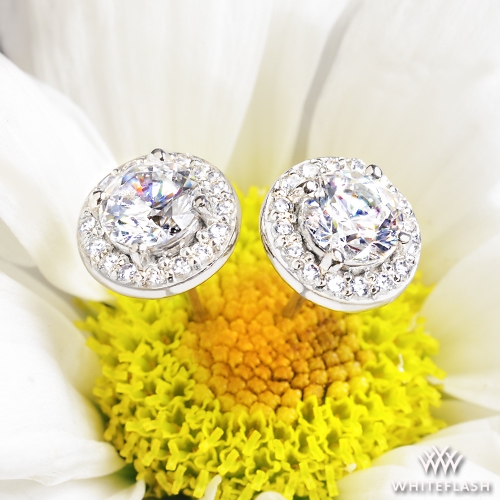 14k White Gold Halo Diamond Stud Earrings
