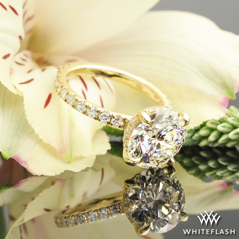 Custom Four Prong Pave Engagement Ring with Hidden Halo
