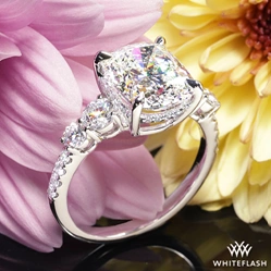 She said yes!