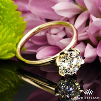 Tulip 6 Prong Solitaire Engagement Ring