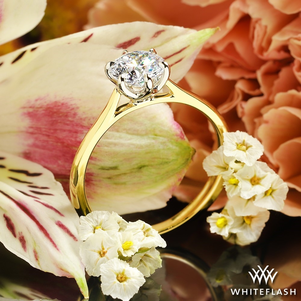 18k YG/PT Head Custom 6 Prong Solitaire Engagement Ring