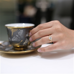 Everything was fantastic. She said yes!