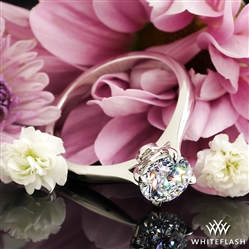 It looks amazing and super happy with the ring and the entire process.