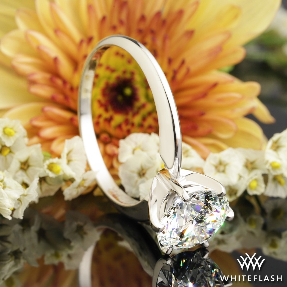 14k White Gold Classic 6 Prong Solitaire Engagement Ring