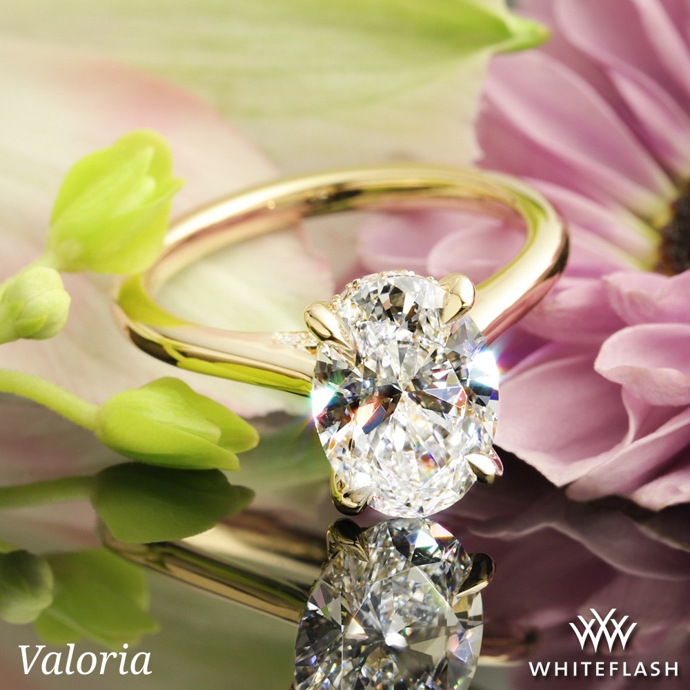 14k White Gold Valoria Cathedral Hidden Halo Solitaire Engagement Ring