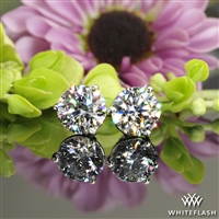 3 Prong Martini Diamond Earrings