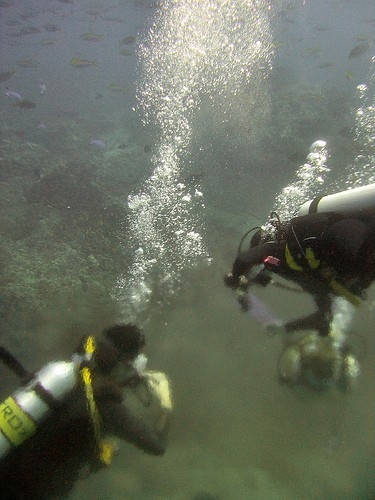 Scotch and water effect or scuba divers underwater