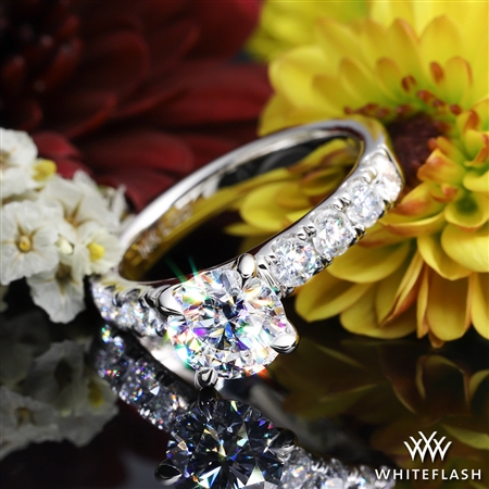 Whiteflash is a step above in terms of quality and customer care.