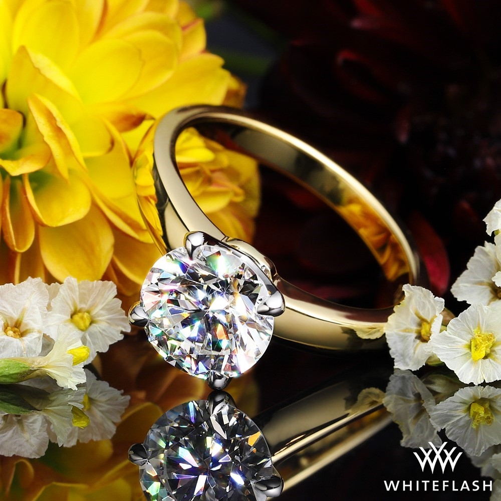 18k Yellow Gold Broadway Solitaire Engagement Ring with White Gold Head