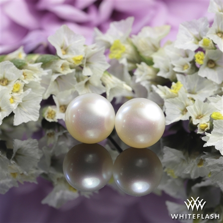 6.5mm Akoya Pearl Earrings