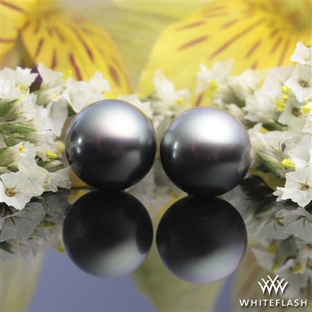 11.6mm Pistachio Black Tahitian Pearl Earrings